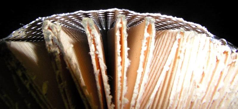 Competitor — irregular pleat geometry